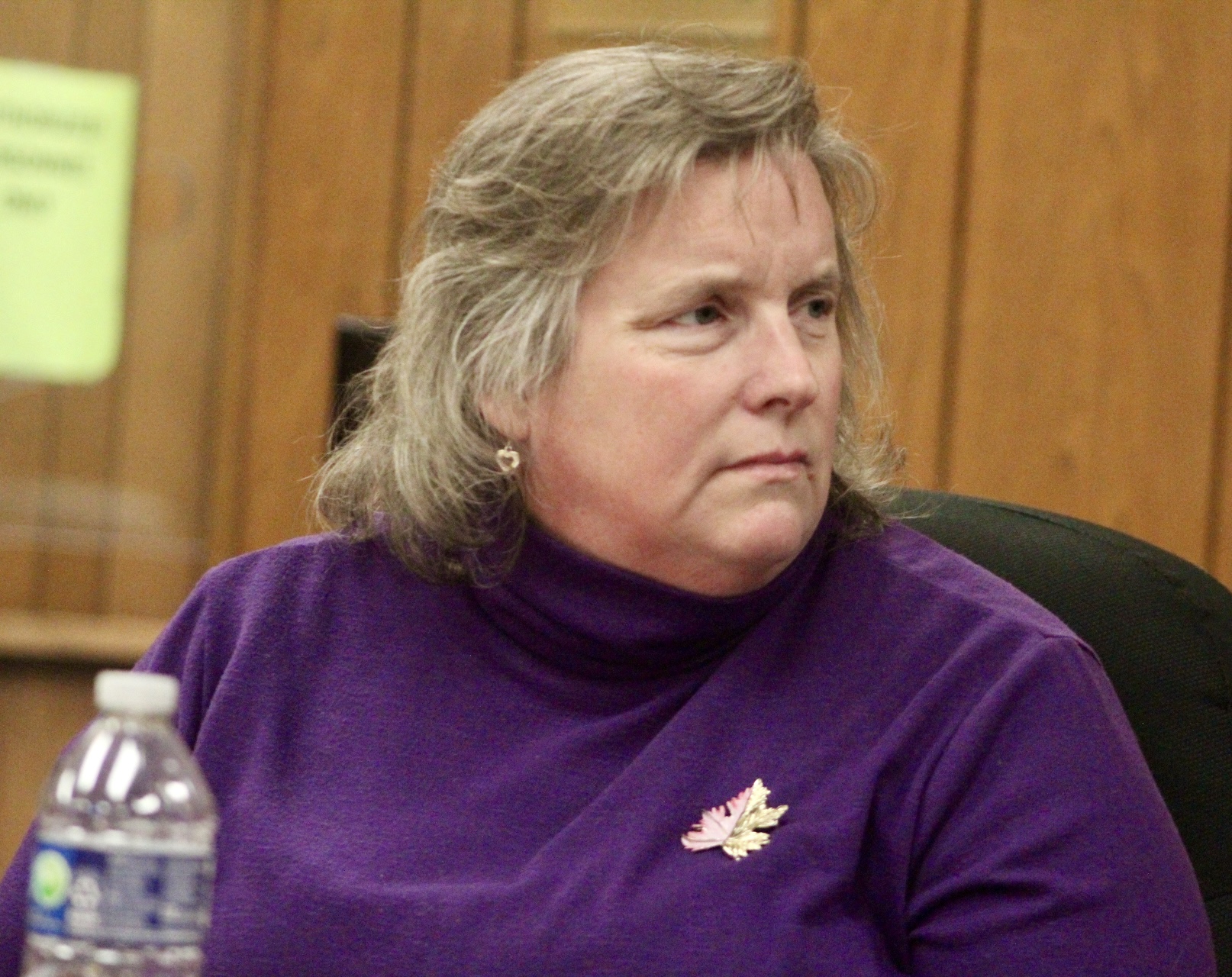 Two new solar farms seek hearings in town | News, Sports, Jobs - Vimarsana News